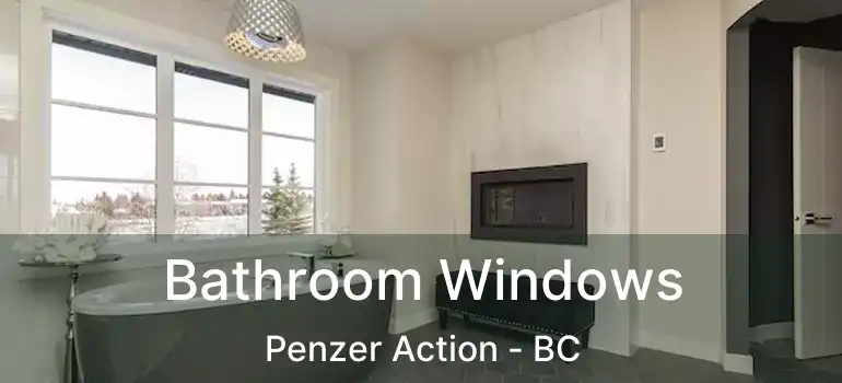  Bathroom Windows Penzer Action - BC
