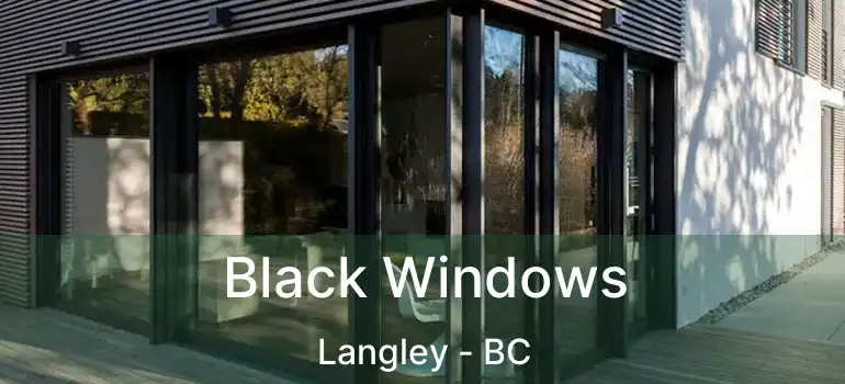  Black Windows Langley - BC