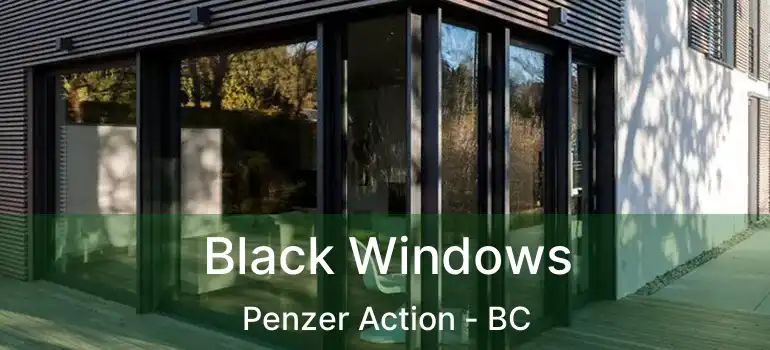  Black Windows Penzer Action - BC