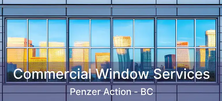  Commercial Window Services Penzer Action - BC