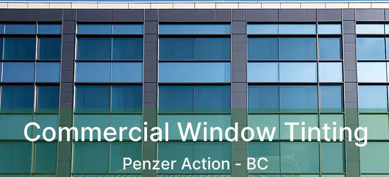  Commercial Window Tinting Penzer Action - BC