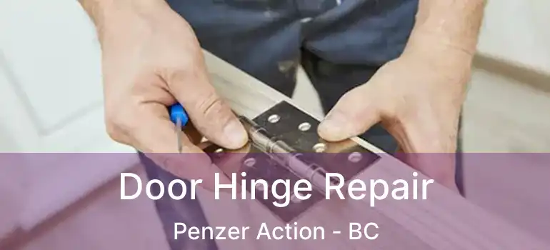  Door Hinge Repair Penzer Action - BC