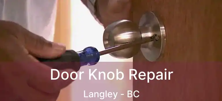  Door Knob Repair Langley - BC