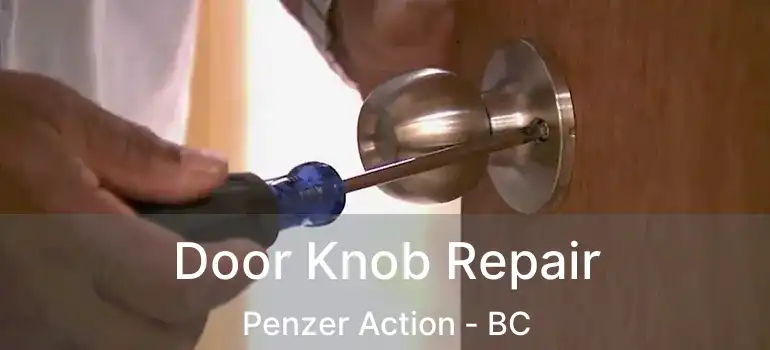  Door Knob Repair Penzer Action - BC