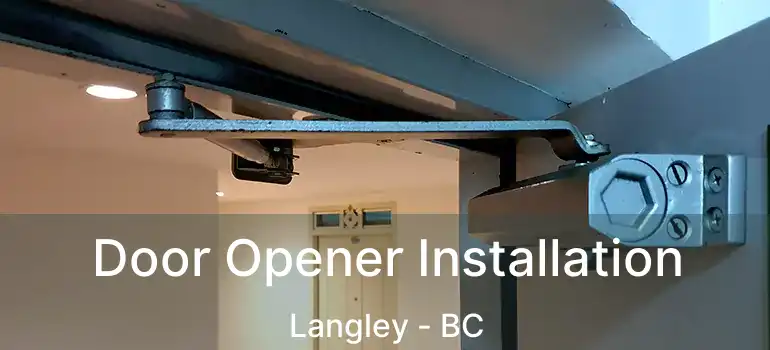  Door Opener Installation Langley - BC