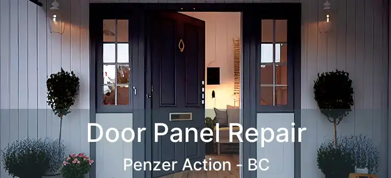  Door Panel Repair Penzer Action - BC