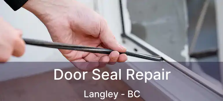  Door Seal Repair Langley - BC