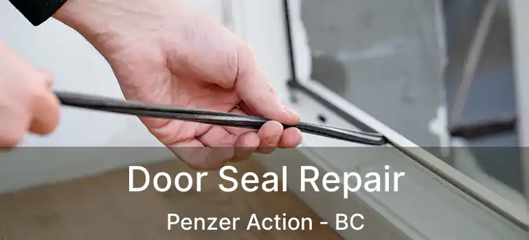  Door Seal Repair Penzer Action - BC