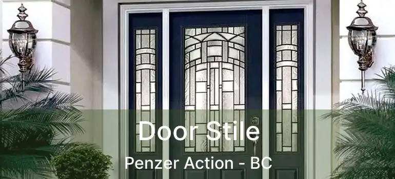  Door Stile Penzer Action - BC