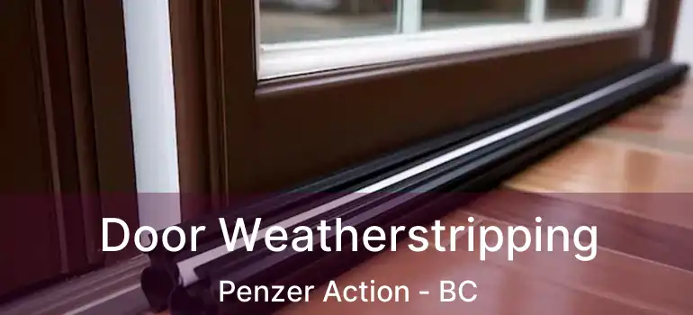  Door Weatherstripping Penzer Action - BC