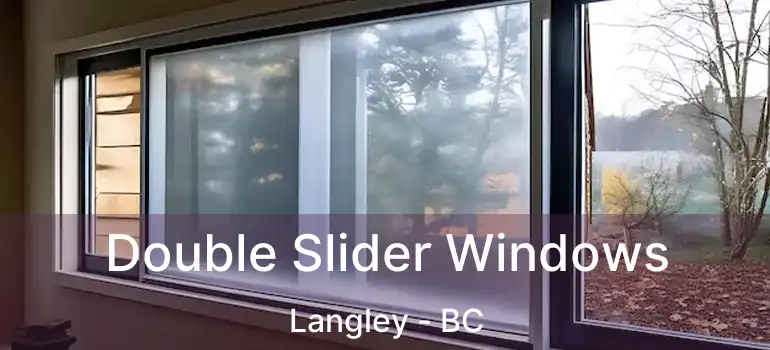  Double Slider Windows Langley - BC