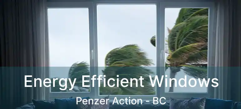  Energy Efficient Windows Penzer Action - BC