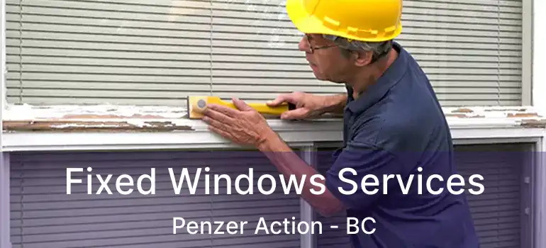  Fixed Windows Services Penzer Action - BC