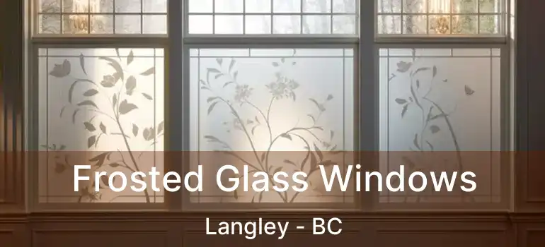  Frosted Glass Windows Langley - BC