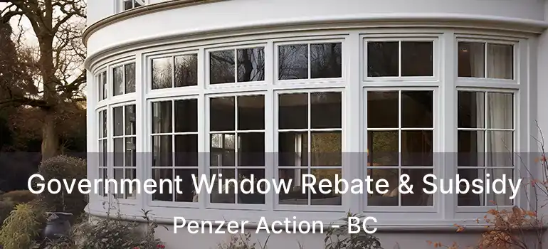  Government Window Rebate & Subsidy Penzer Action - BC