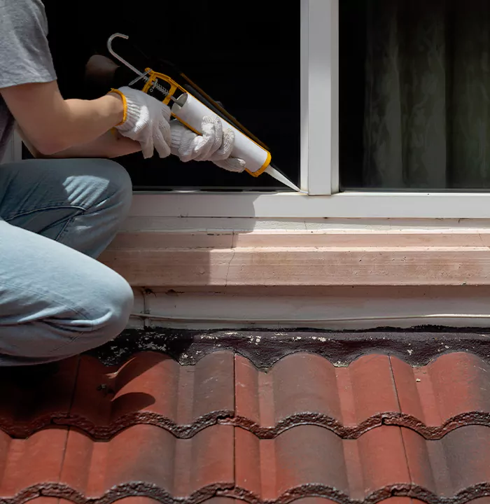Roof Window Services in Langley, British Columbia