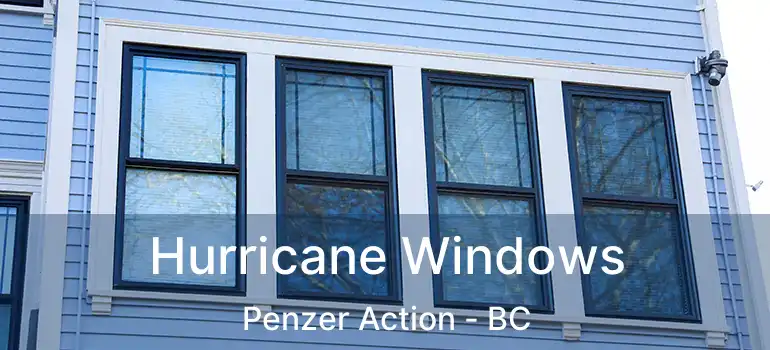  Hurricane Windows Penzer Action - BC
