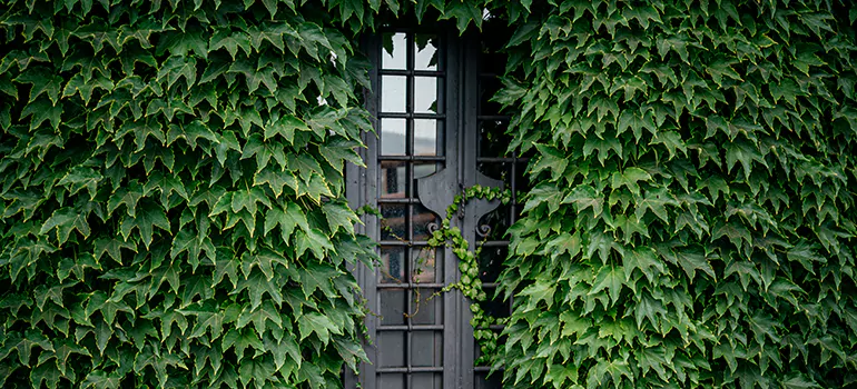 Garden Gate Repair in Langley, BC