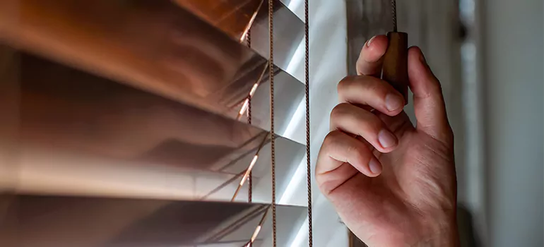 Double Roller Blinds in Langley, British Columbia