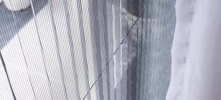 Fixing Screen Window Mesh in Langley, British Columbia
