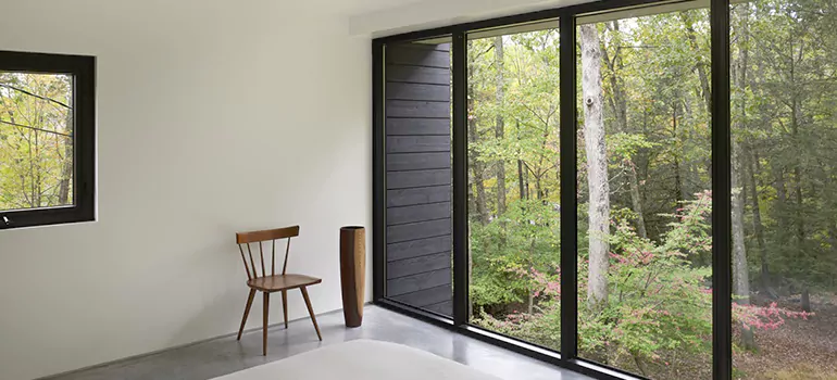 Triple Pane Energy Efficient Windows in Langley, BC