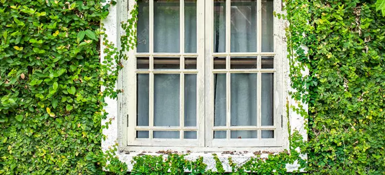 Garden Window Repair Near Me in Langley, BC