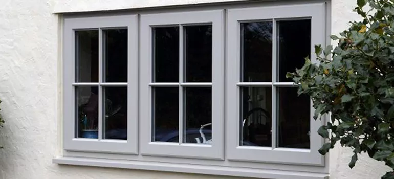 Stormproof Windows With Tinted Glass Services in Penzer Action, BC