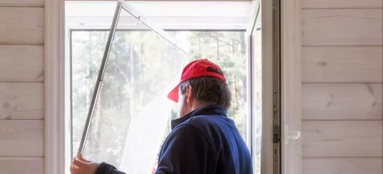 Expandable Window Screen Installation in Langley, British Columbia