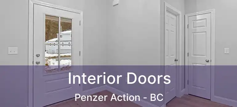  Interior Doors Penzer Action - BC