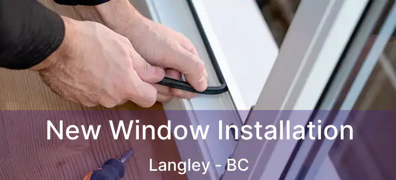  New Window Installation Langley - BC