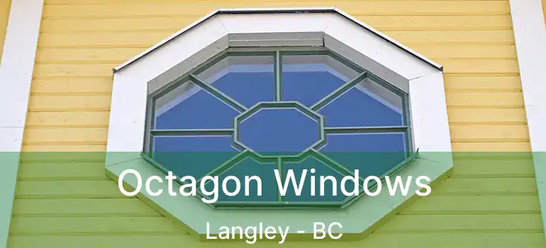  Octagon Windows Langley - BC