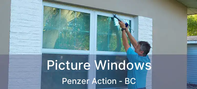  Picture Windows Penzer Action - BC