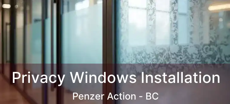  Privacy Windows Installation Penzer Action - BC