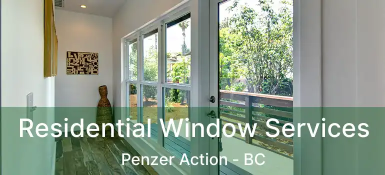  Residential Window Services Penzer Action - BC