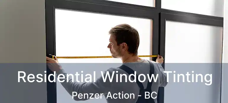  Residential Window Tinting Penzer Action - BC