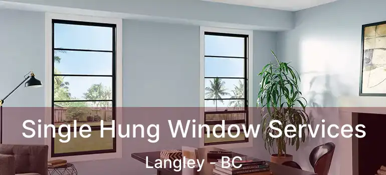  Single Hung Window Services Langley - BC