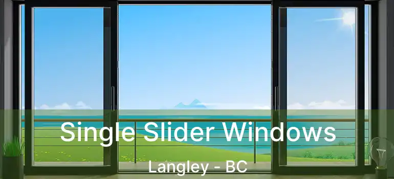  Single Slider Windows Langley - BC