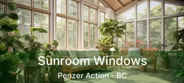  Sunroom Windows Penzer Action - BC