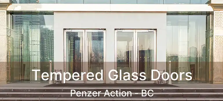  Tempered Glass Doors Penzer Action - BC