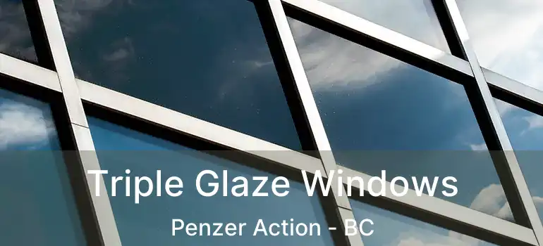  Triple Glaze Windows Penzer Action - BC