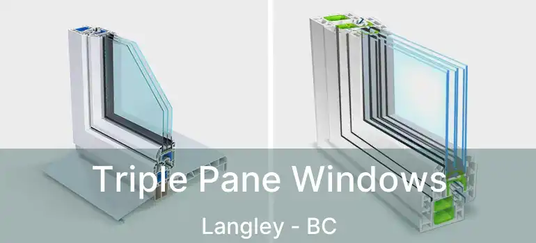  Triple Pane Windows Langley - BC