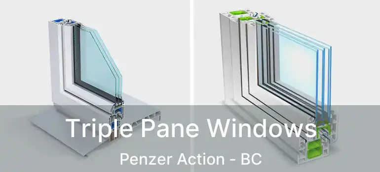  Triple Pane Windows Penzer Action - BC
