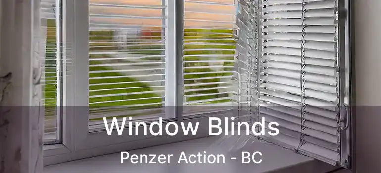  Window Blinds Penzer Action - BC