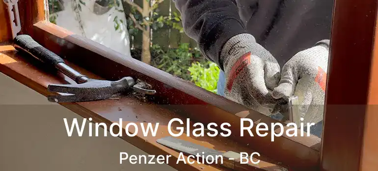  Window Glass Repair Penzer Action - BC