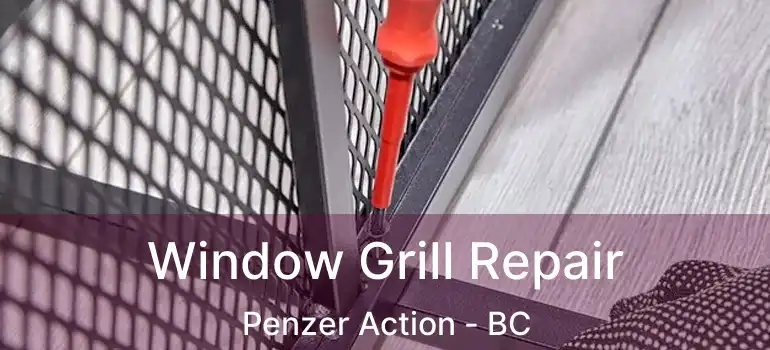  Window Grill Repair Penzer Action - BC