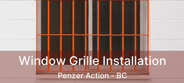  Window Grille Installation Penzer Action - BC