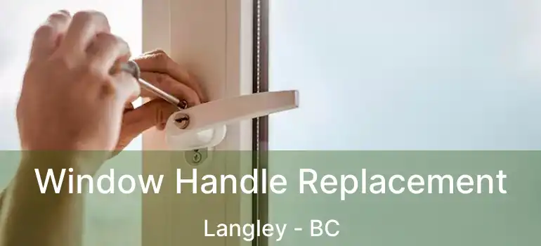  Window Handle Replacement Langley - BC