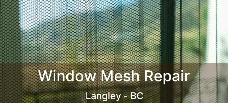  Window Mesh Repair Langley - BC