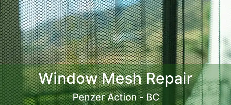  Window Mesh Repair Penzer Action - BC