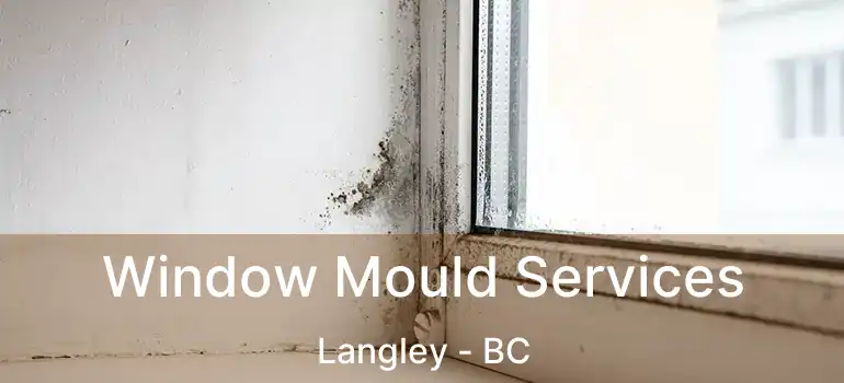  Window Mould Services Langley - BC